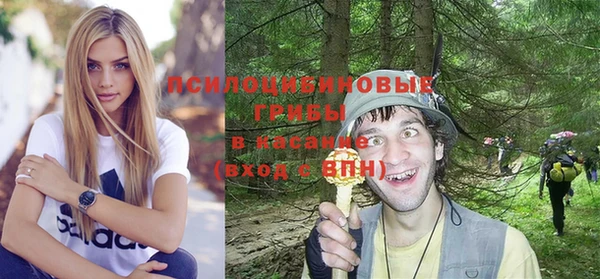 ALPHA-PVP Белокуриха