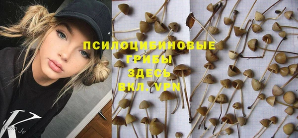 2c-b Беломорск