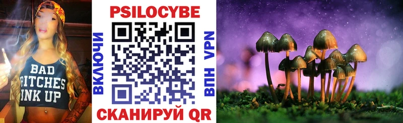 Галлюциногенные грибы Psilocybe  OMG зеркало  Славгород 